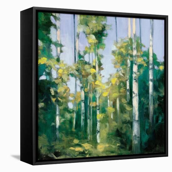 Birches-Julia Purinton-Framed Stretched Canvas