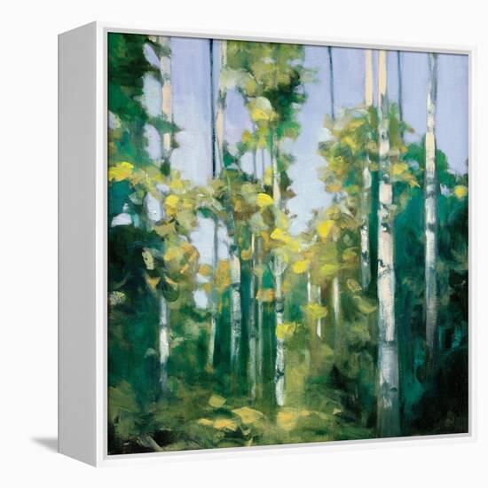 Birches-Julia Purinton-Framed Stretched Canvas