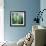 Birches-Julia Purinton-Framed Art Print displayed on a wall