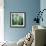 Birches-Julia Purinton-Framed Art Print displayed on a wall