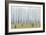 Birches-Milovelen-Framed Art Print