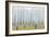 Birches-Milovelen-Framed Art Print