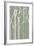 Birchline Triptych II-Jennifer Goldberger-Framed Art Print