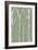 Birchline Triptych III-Jennifer Goldberger-Framed Art Print