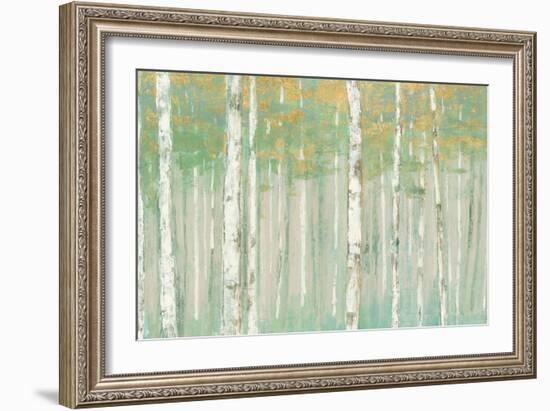 Birchs at Sunrise Gold Crop-Julia Purinton-Framed Art Print