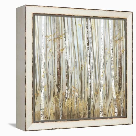 Birchscape II-Allison Pearce-Framed Stretched Canvas