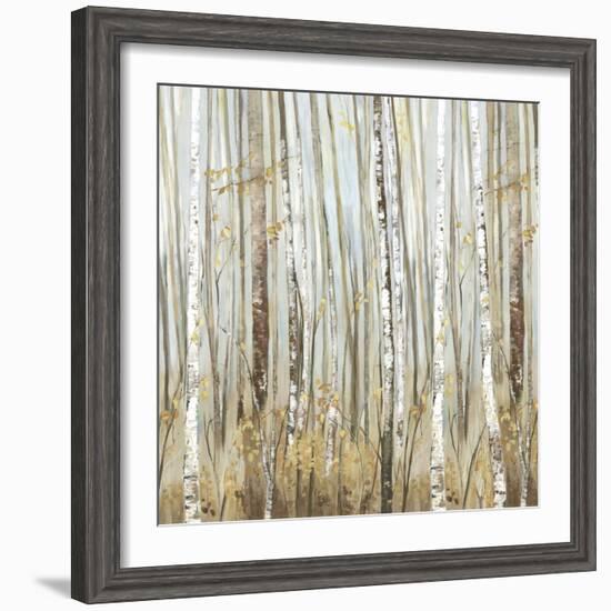 Birchscape II-Allison Pearce-Framed Art Print