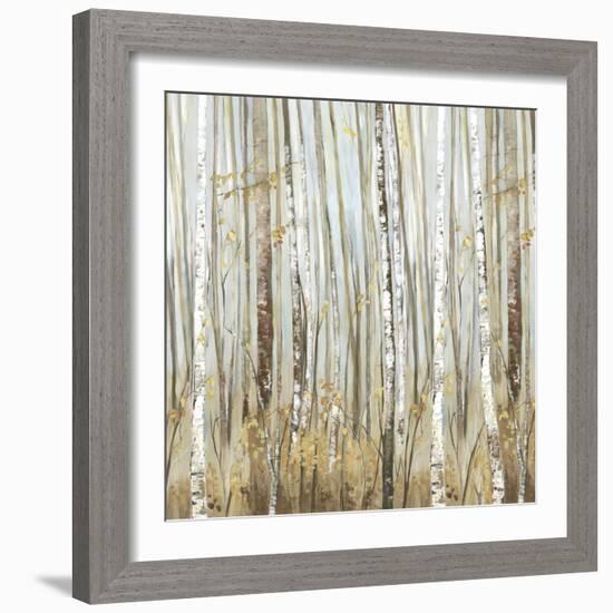 Birchscape II-Allison Pearce-Framed Art Print