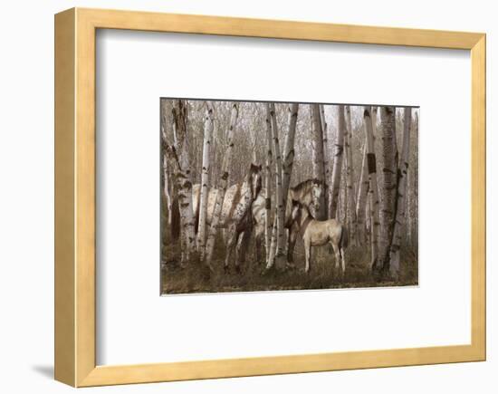 Birchwood Family-Steve Hunziker-Framed Art Print