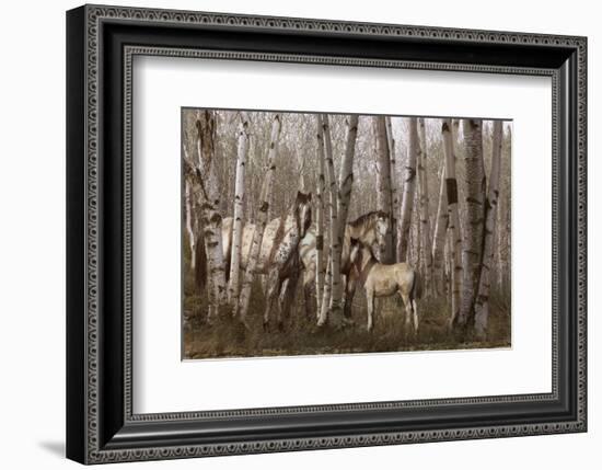 Birchwood Family-Steve Hunziker-Framed Art Print