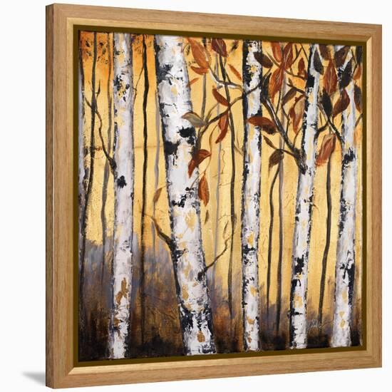 Birchwood Trees on Gold II-Patricia Pinto-Framed Stretched Canvas