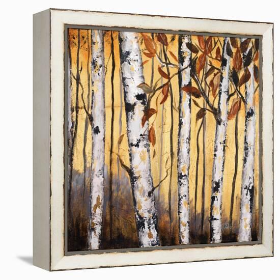 Birchwood Trees on Gold II-Patricia Pinto-Framed Stretched Canvas