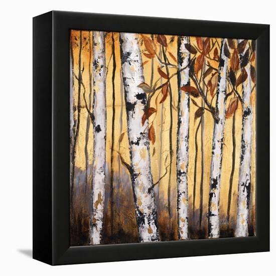 Birchwood Trees on Gold II-Patricia Pinto-Framed Stretched Canvas