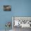 Bird among Fish-pr2is-Photographic Print displayed on a wall