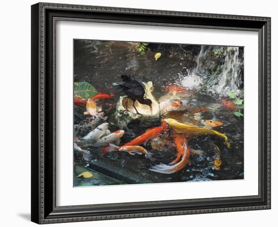 Bird among Fish-pr2is-Framed Photographic Print