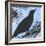 Bird And Berries 10-Tim Nyberg-Framed Giclee Print