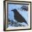 Bird And Berries 15-Tim Nyberg-Framed Giclee Print