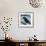 Bird And Berries 4-Tim Nyberg-Framed Giclee Print displayed on a wall