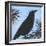 Bird And Berries 9-Tim Nyberg-Framed Giclee Print