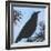 Bird And Berries 9-Tim Nyberg-Framed Giclee Print