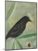 Bird and Berry 1-Tim Nyberg-Mounted Giclee Print