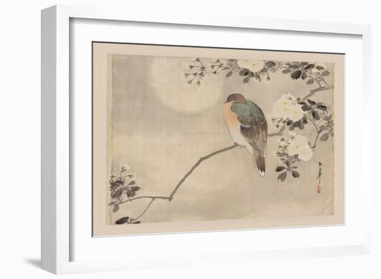 Bird and Cherry Blossoms-null-Framed Premium Giclee Print