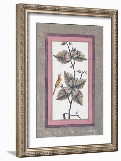 Bird and Flower Study, C.1780-null-Framed Giclee Print