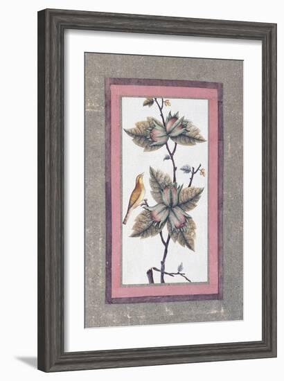 Bird and Flower Study, C.1780-null-Framed Giclee Print