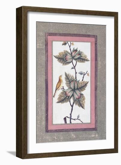 Bird and Flower Study, C.1780-null-Framed Giclee Print