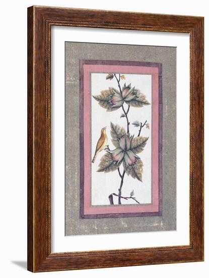 Bird and Flower Study, C.1780-null-Framed Giclee Print