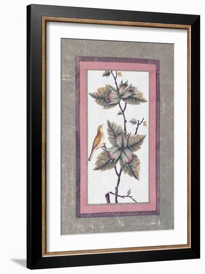 Bird and Flower Study, C.1780-null-Framed Giclee Print