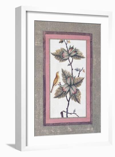 Bird and Flower Study, C.1780-null-Framed Giclee Print