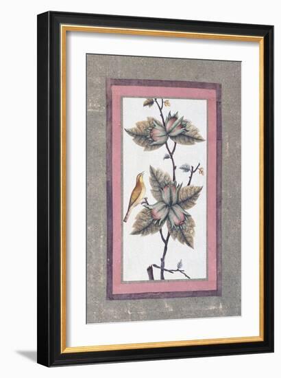 Bird and Flower Study, C.1780-null-Framed Giclee Print