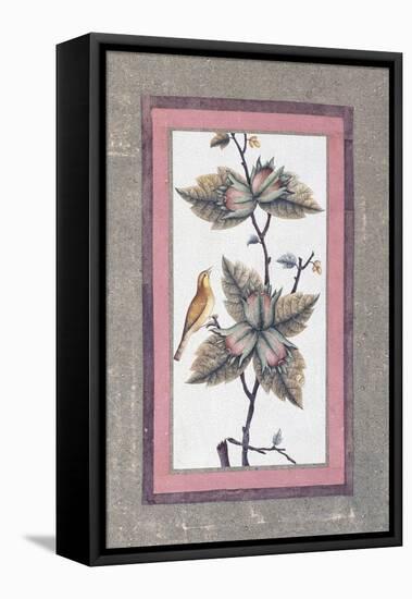 Bird and Flower Study, C.1780-null-Framed Premier Image Canvas