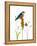 Bird and Honey Bee Print-Blenda Tyvoll-Framed Stretched Canvas