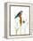 Bird and Honey Bee Print-Blenda Tyvoll-Framed Stretched Canvas