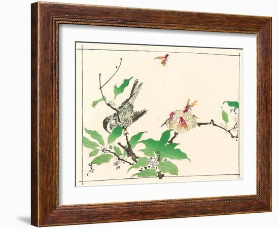 Bird and Hornets-Kyosai Kawanabe-Framed Giclee Print