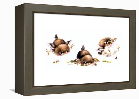 Bird and Ladybug-Peggy Harris-Framed Premier Image Canvas