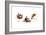 Bird and Ladybug-Peggy Harris-Framed Giclee Print