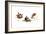 Bird and Ladybug-Peggy Harris-Framed Giclee Print