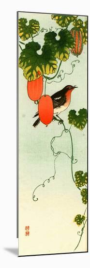 Bird and Orange Fruit Vine-Koson Ohara-Mounted Giclee Print