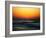 Bird at Sunset-Josh Adamski-Framed Photographic Print