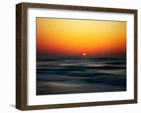 Bird at Sunset-Josh Adamski-Framed Photographic Print