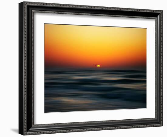 Bird at Sunset-Josh Adamski-Framed Photographic Print