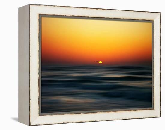 Bird at Sunset-Josh Adamski-Framed Premier Image Canvas