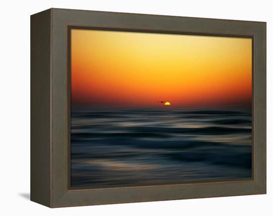 Bird at Sunset-Josh Adamski-Framed Premier Image Canvas