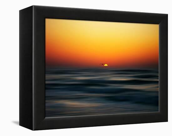 Bird at Sunset-Josh Adamski-Framed Premier Image Canvas