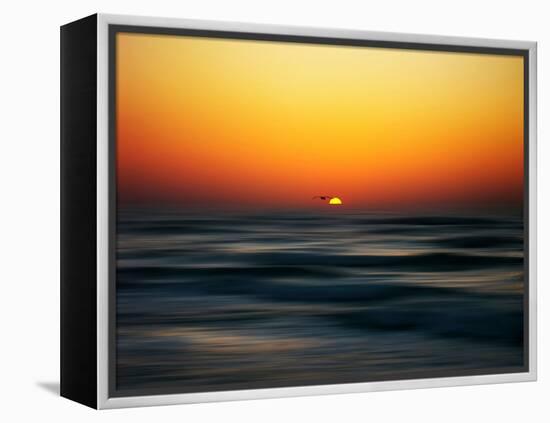 Bird at Sunset-Josh Adamski-Framed Premier Image Canvas