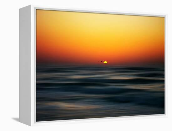 Bird at Sunset-Josh Adamski-Framed Premier Image Canvas