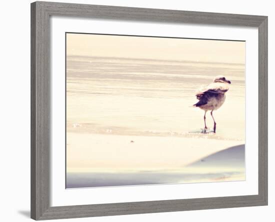 Bird at The Beach-Sylvia Coomes-Framed Photographic Print